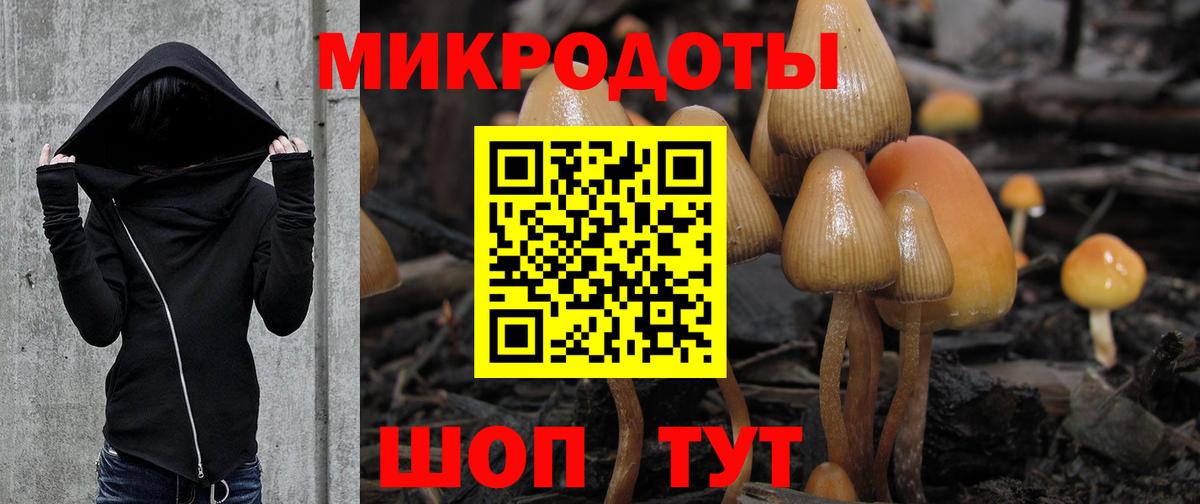 Галлюциногенные грибы ЛСД Великие Луки